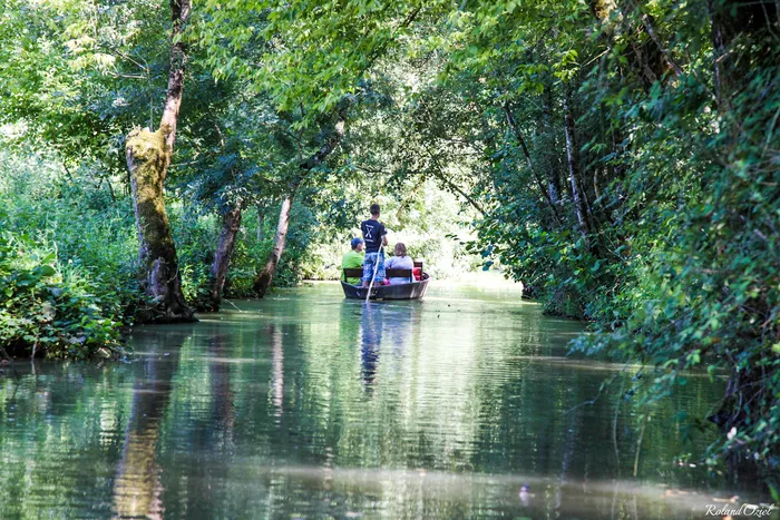 Découverte de la venise verte en barque avec un navigateur