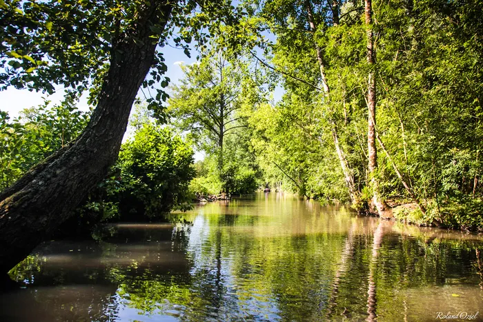 La venise verte en plein air et aquatique
