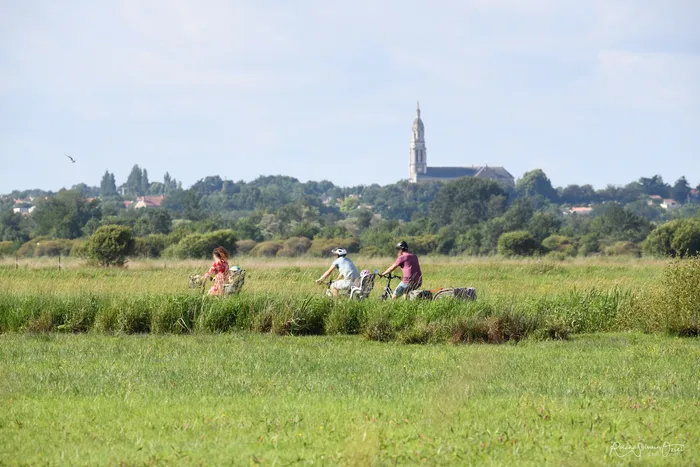 Balade a vélos sur les pistes cyclables dans les terres de Vendée