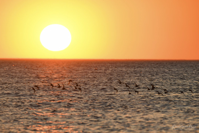 Un coucher de soleil sur la côte et au dessus de la mer