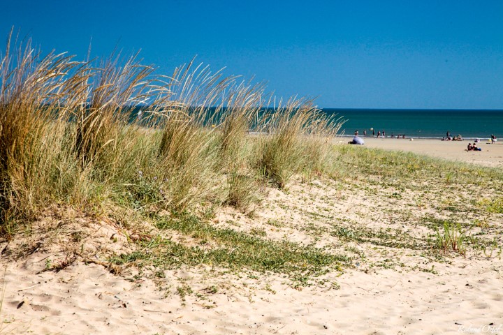 camping au coeur de la nature et loin de la foule de Vendée